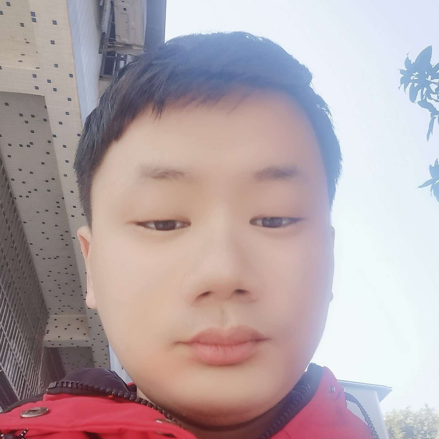 棒球相许高贵的照片