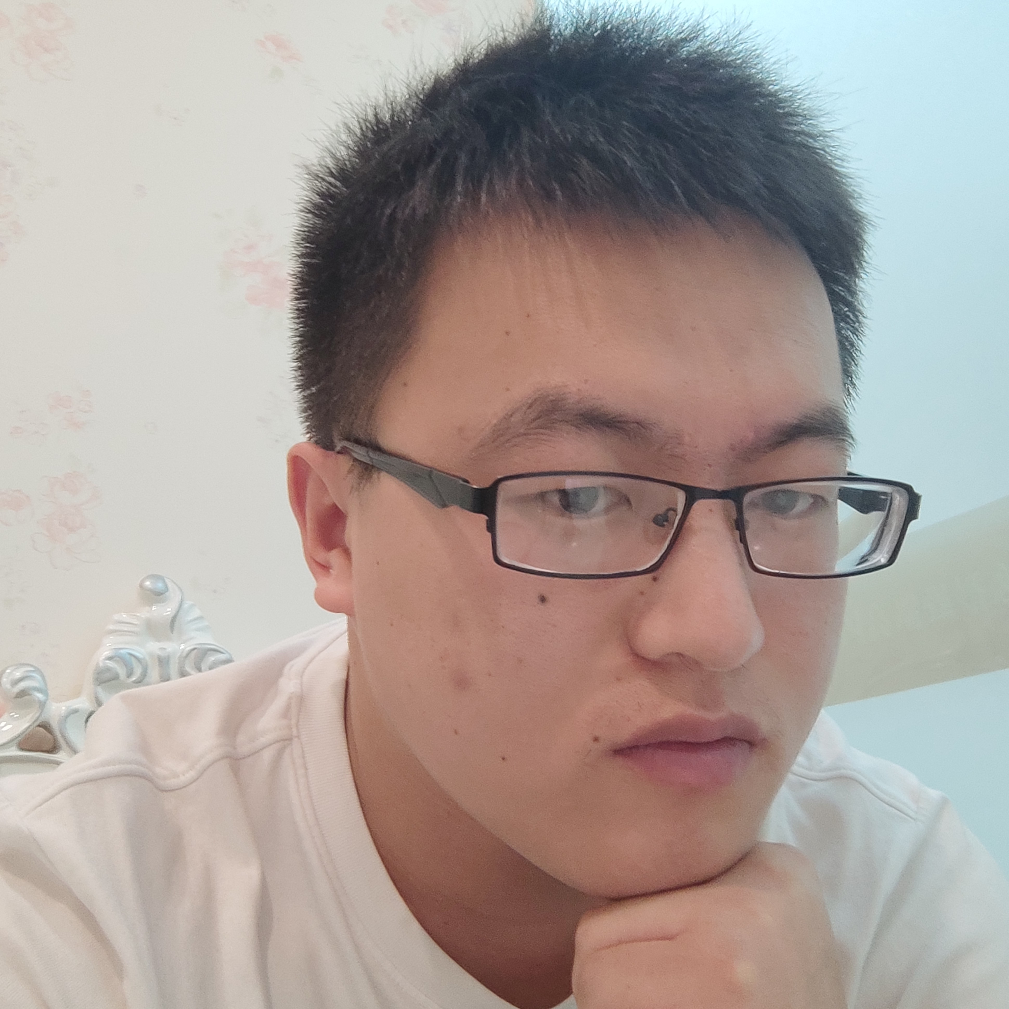 杨立昆的照片