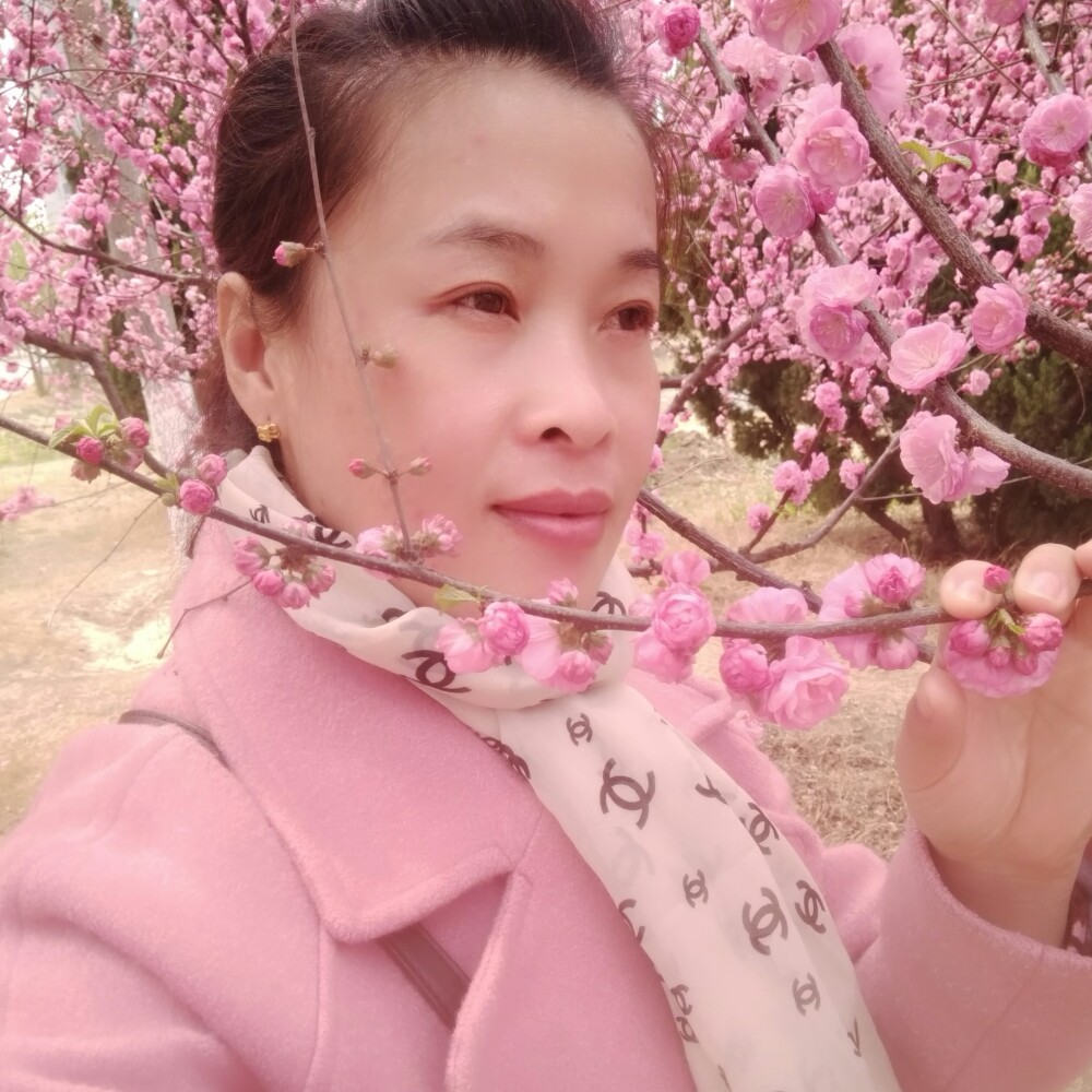 A枫叶A的照片