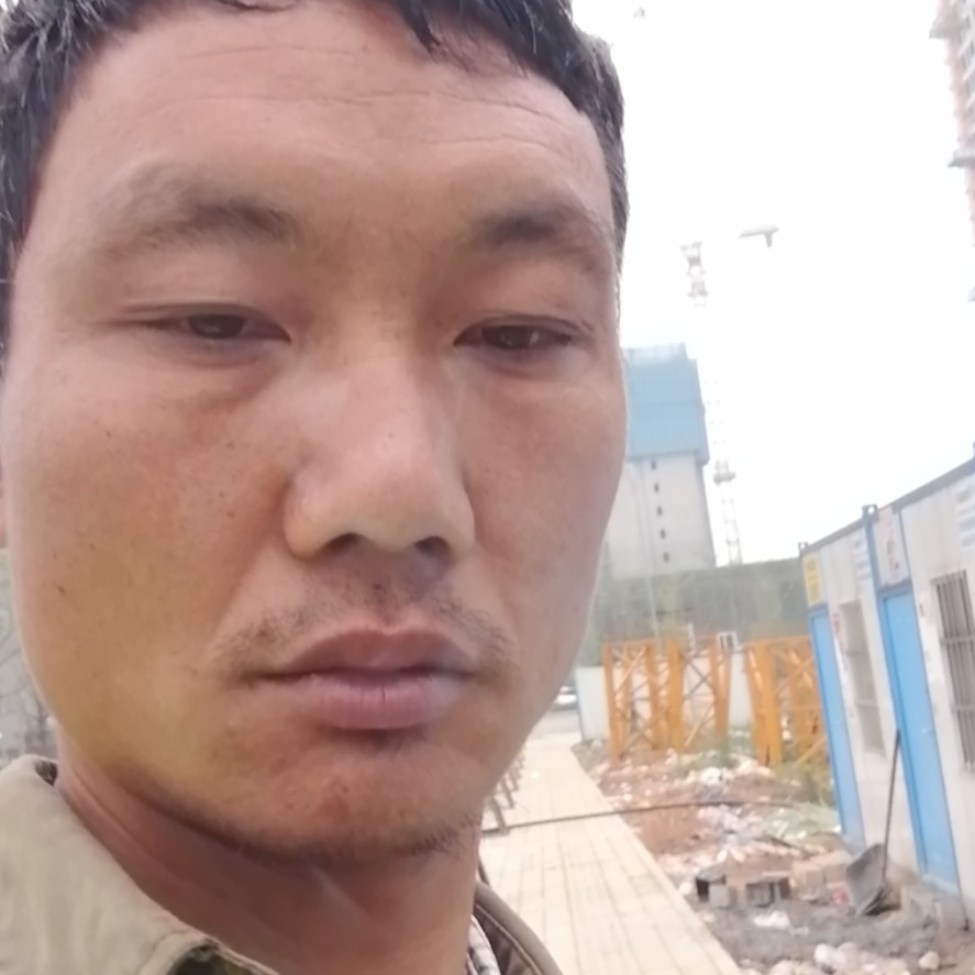 重要方草莓的照片