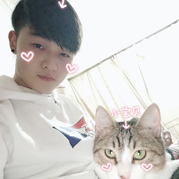 情深缘浅99的照片