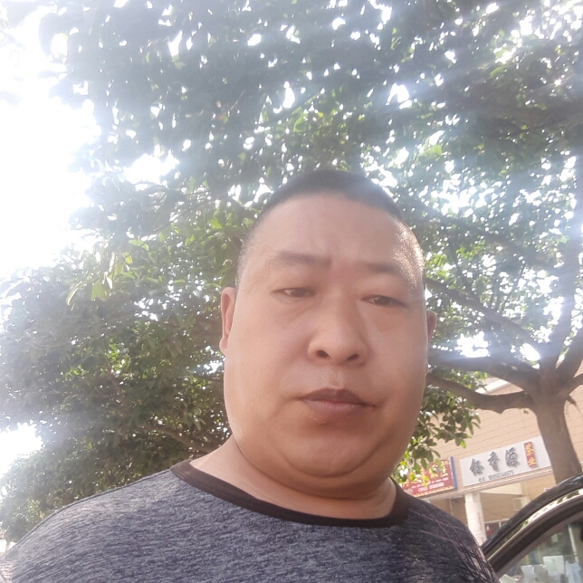 激情小蚂蚁的照片