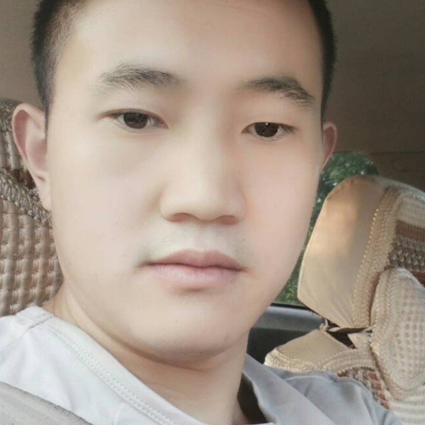 忧虑深拥斑马的照片