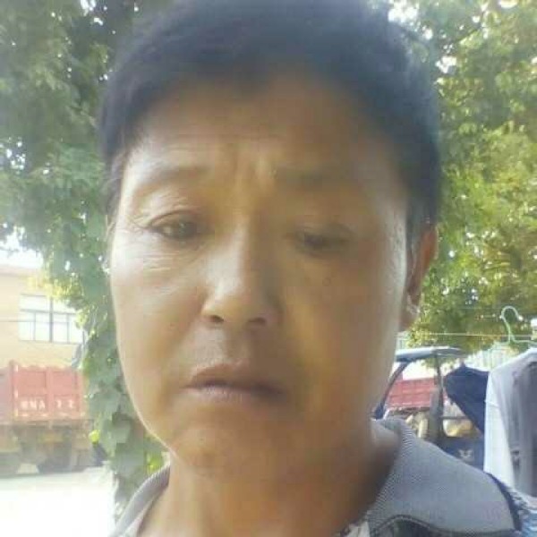 跳跃闻小蜜蜂的照片