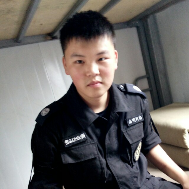 虚拟洋葱的照片