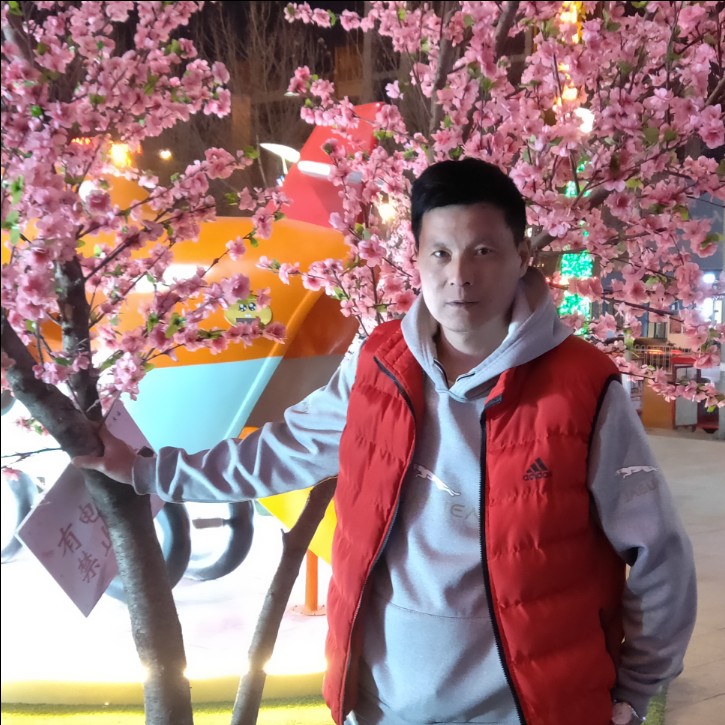 树叶唠叨的照片