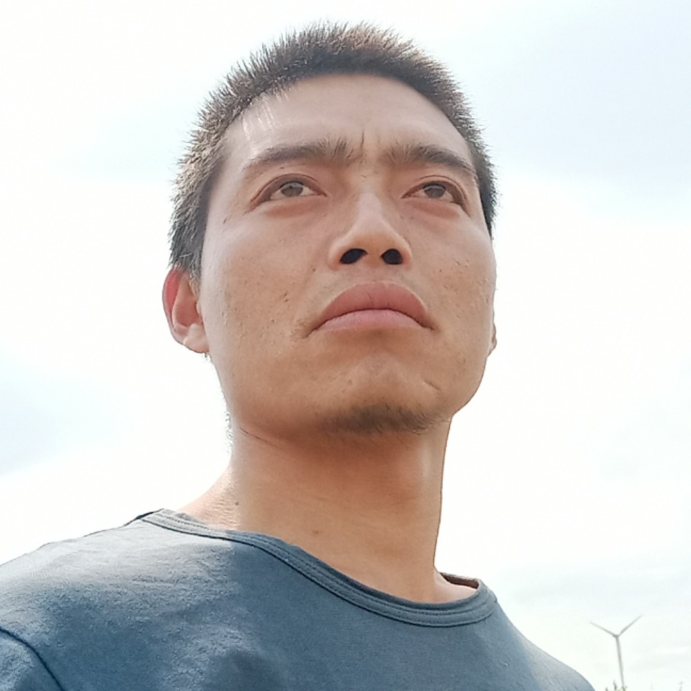 爱的奇迹520的照片