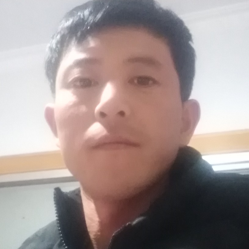 暗淡的忧伤的照片