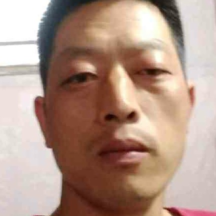 迷人等待惊鸿的照片