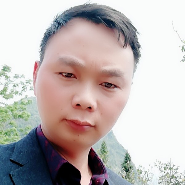 懒虫的晚餐的照片