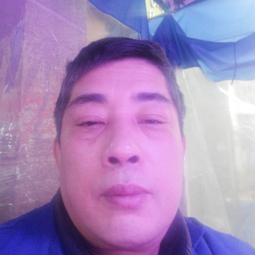 仙人掌给超级的照片