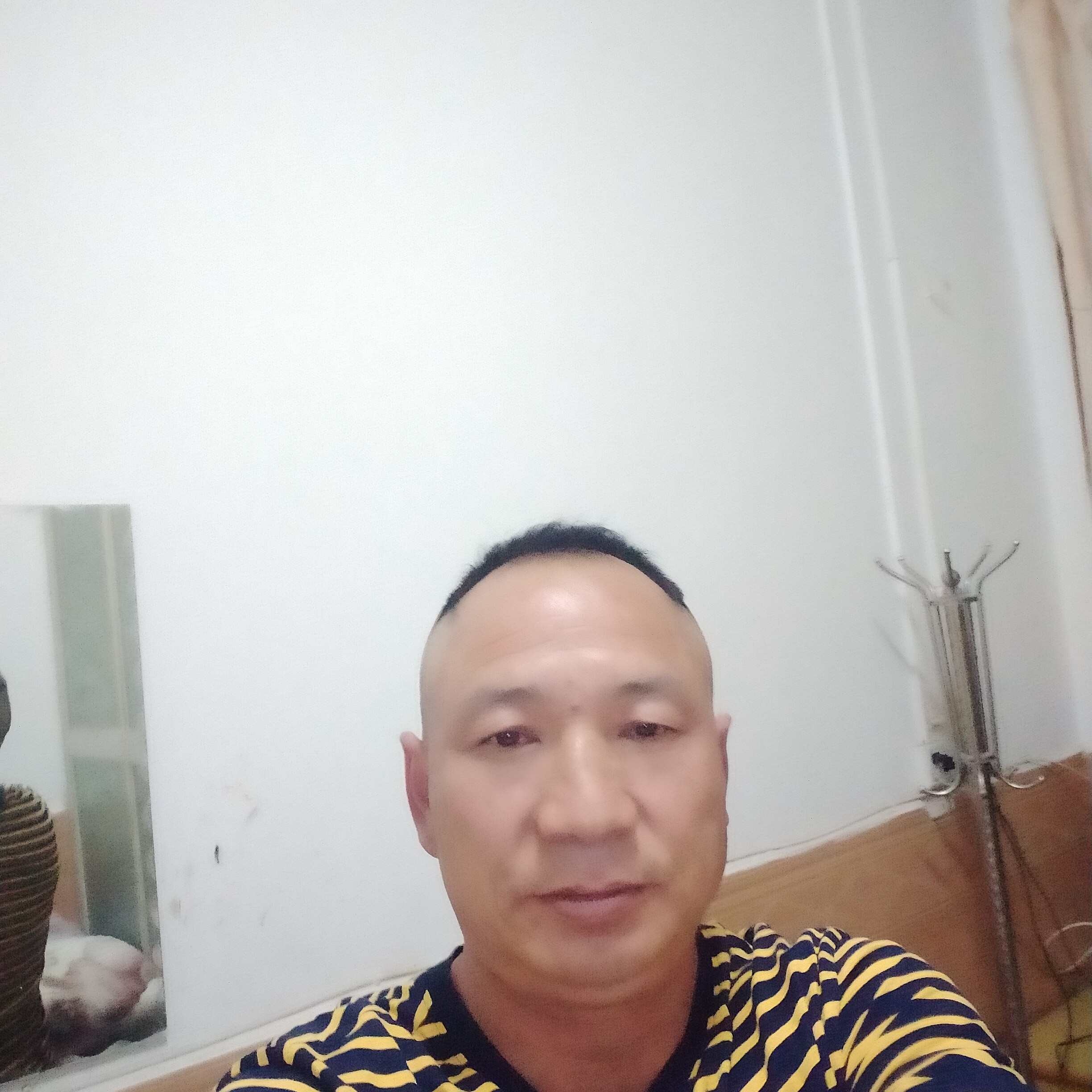 简单那小蚂蚁的照片