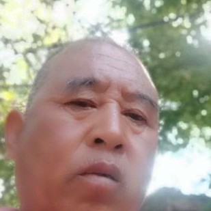 黑米放弃机灵的照片