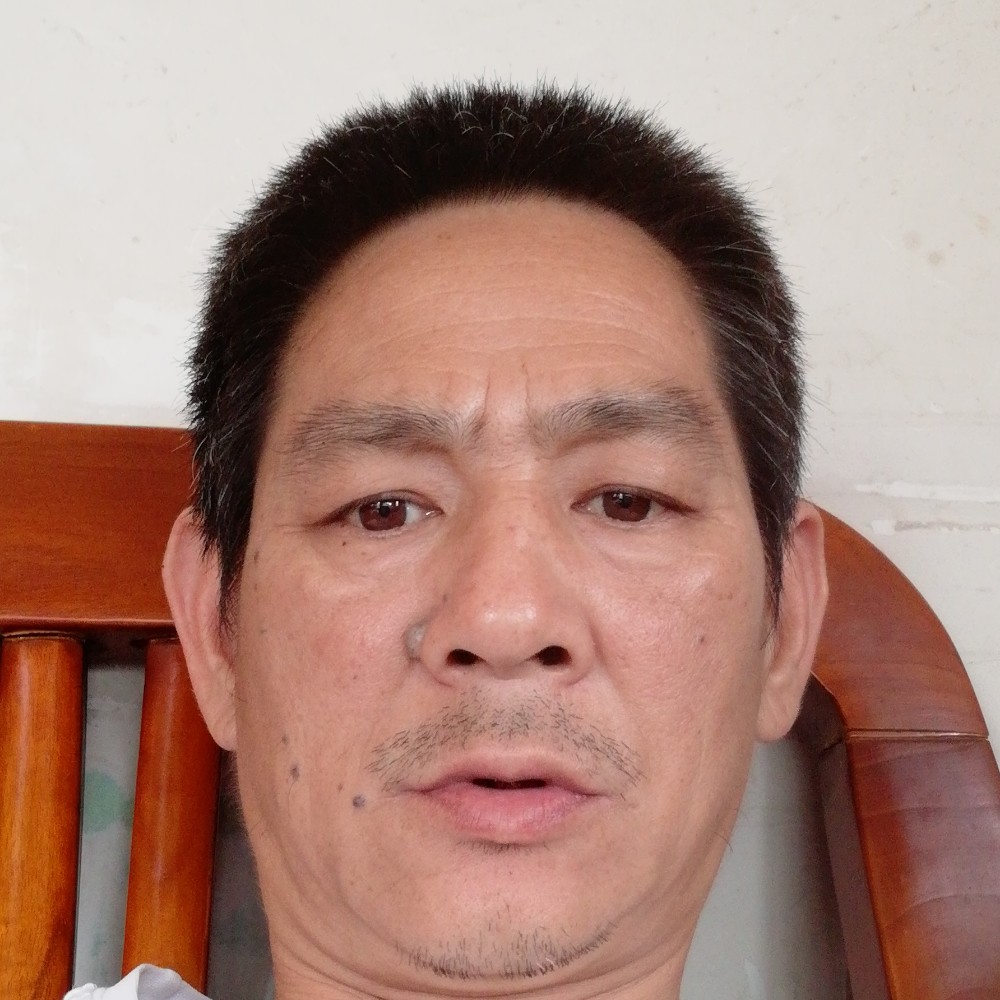 专注浅吻灰狼的照片