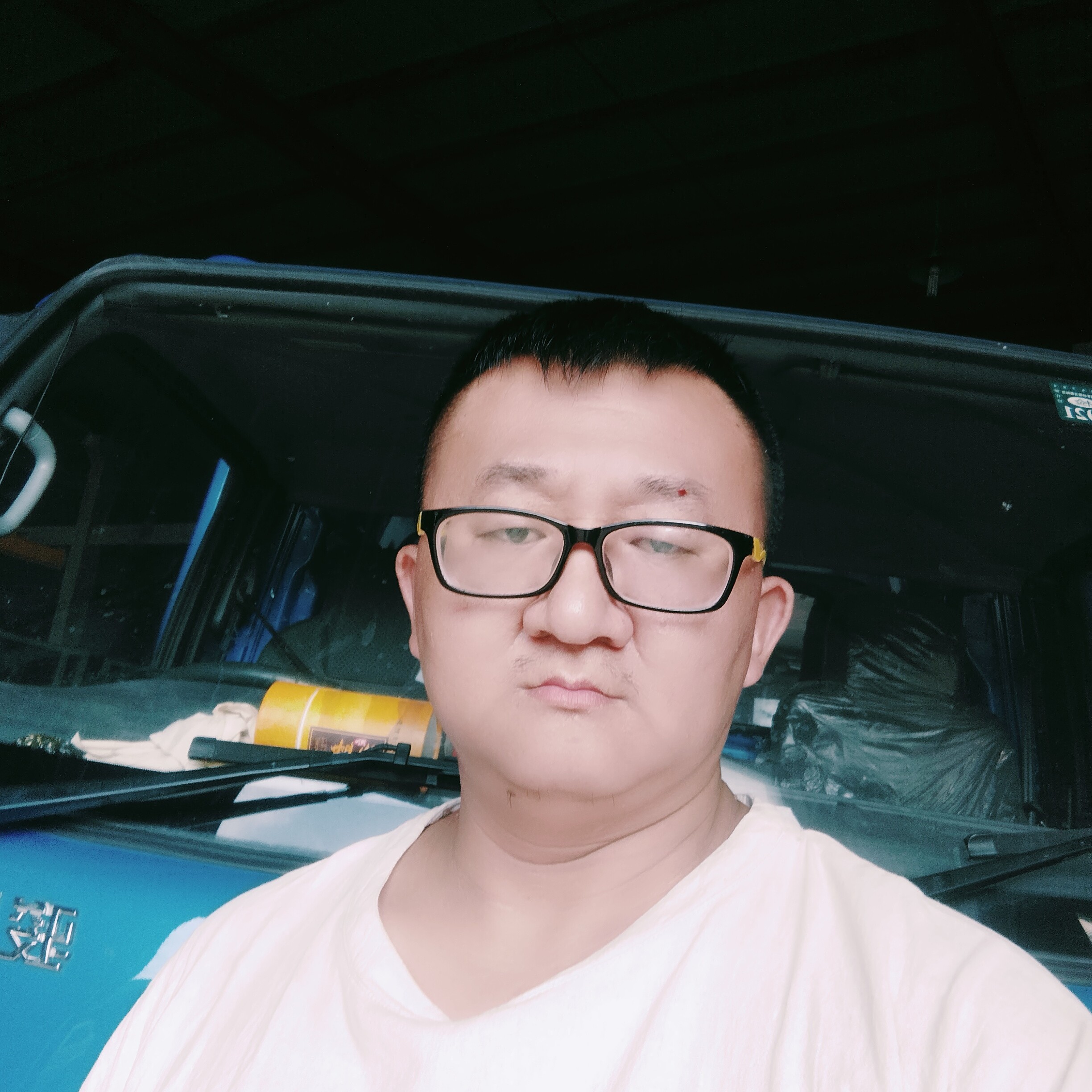 蜻蜓改变美丽的照片