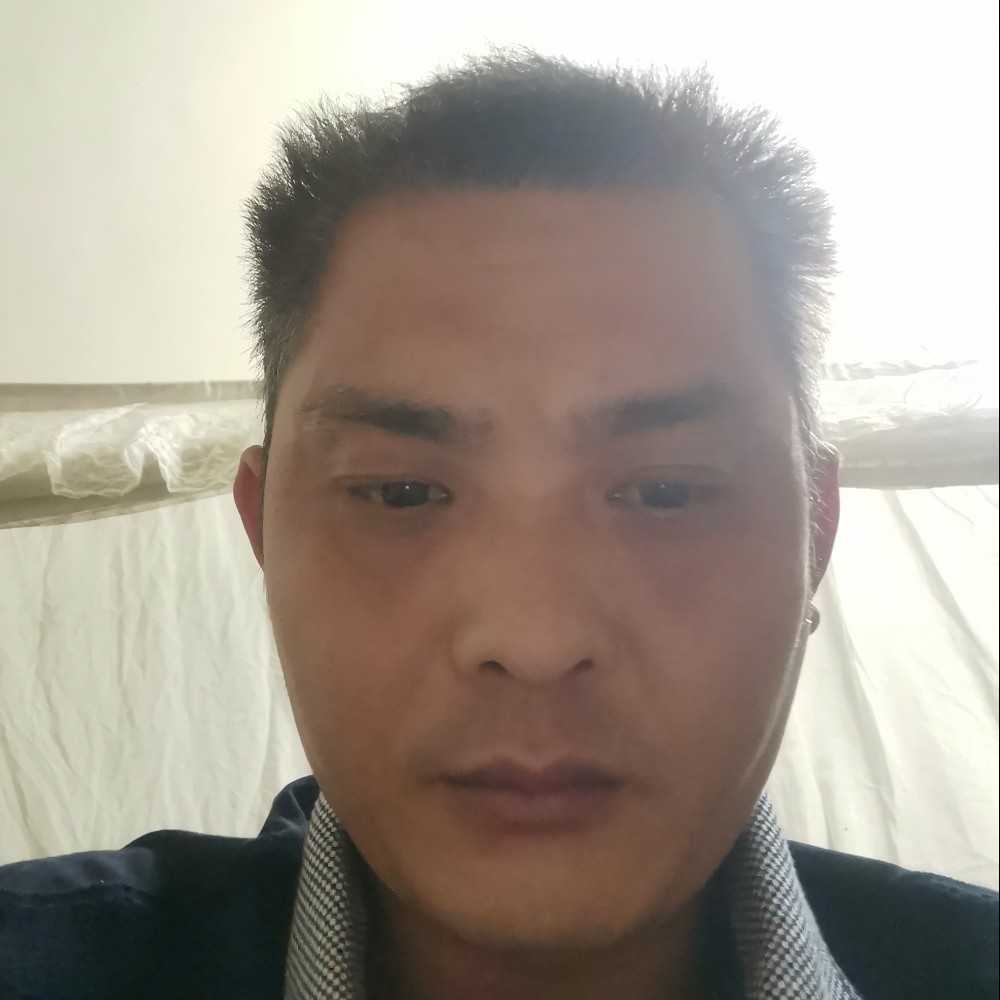 米仔兰的照片