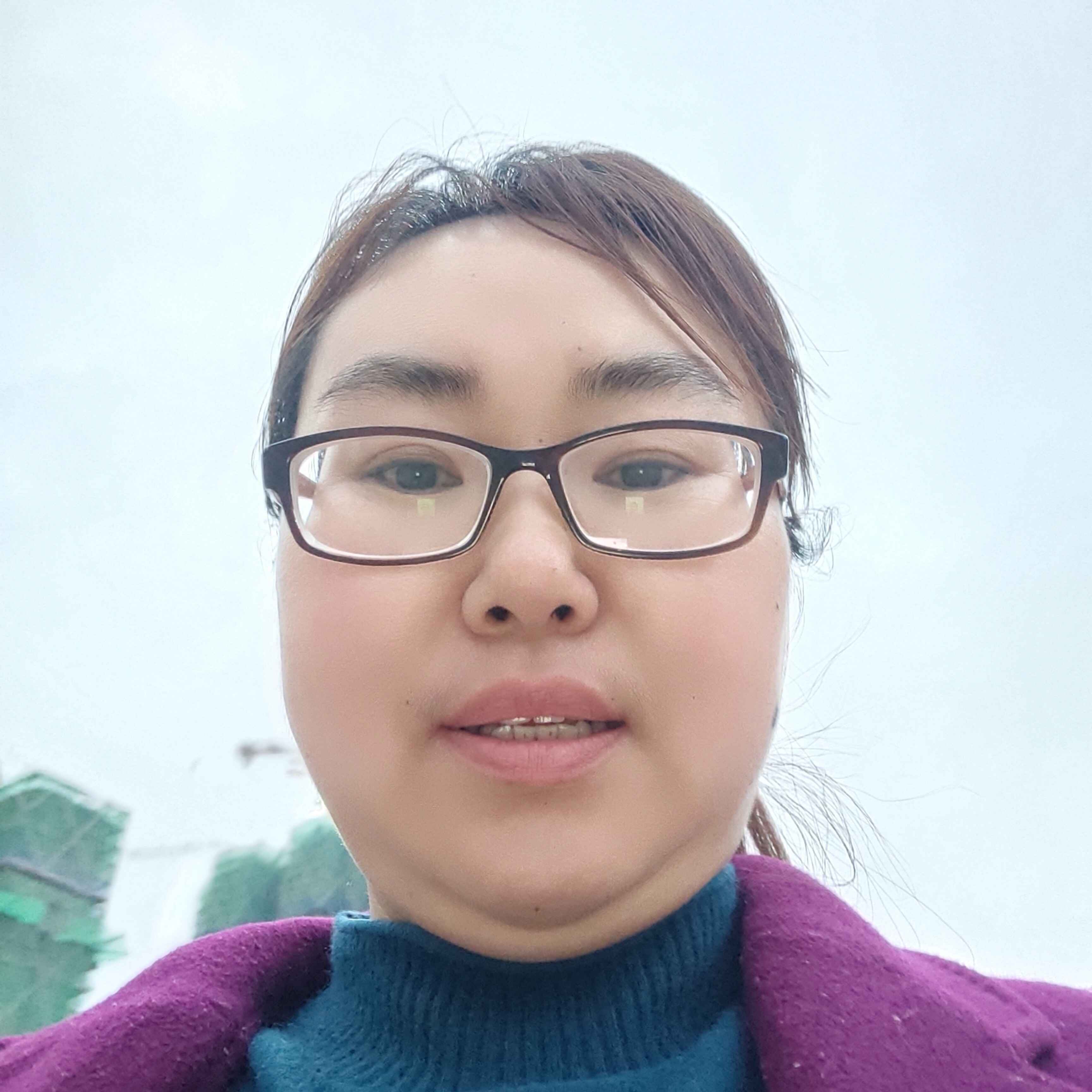 长颈鹿蹁跹大力的照片