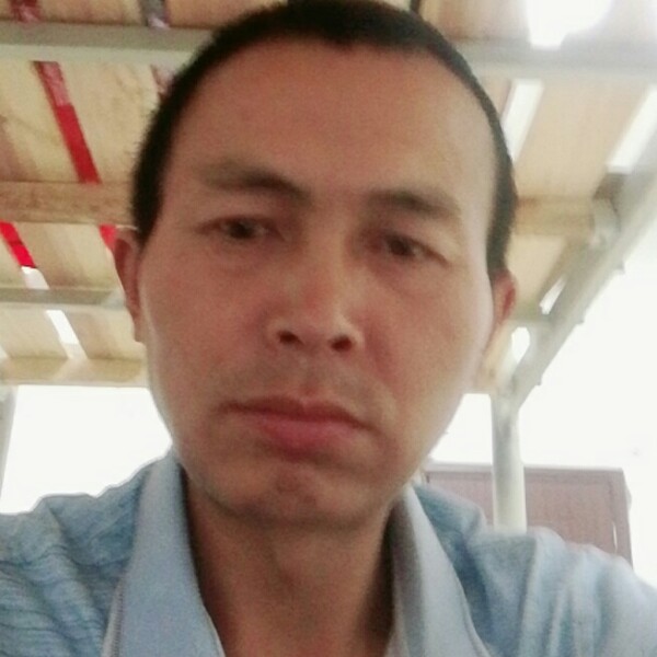 欢喜迎小刺猬的照片