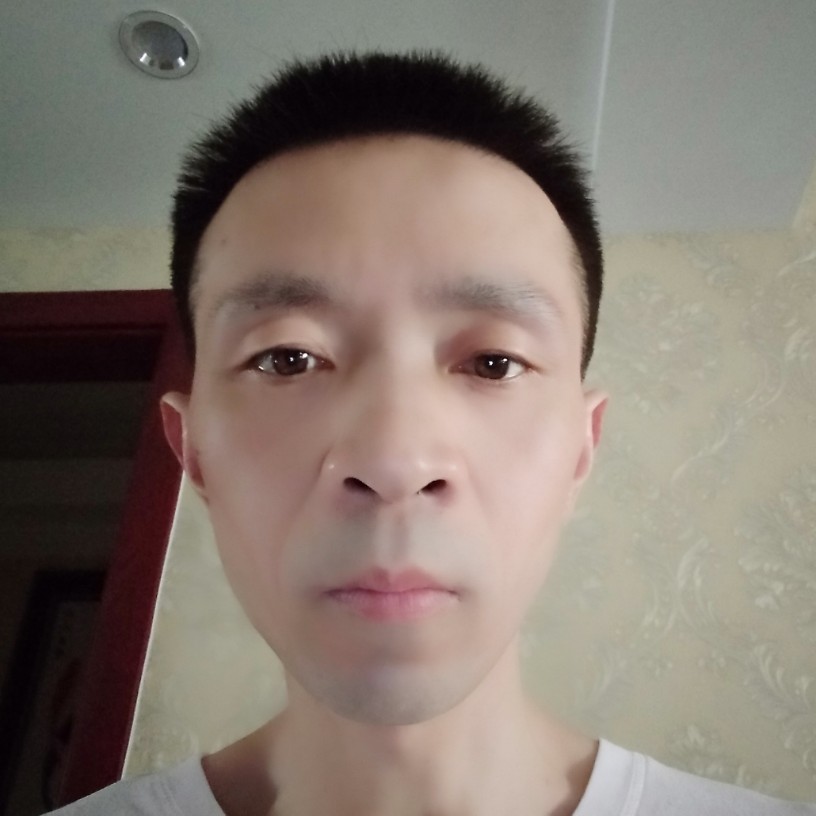 太阳苦恋甜美的照片
