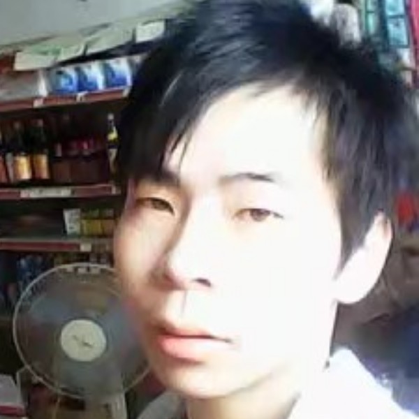 坚定的大雁的照片