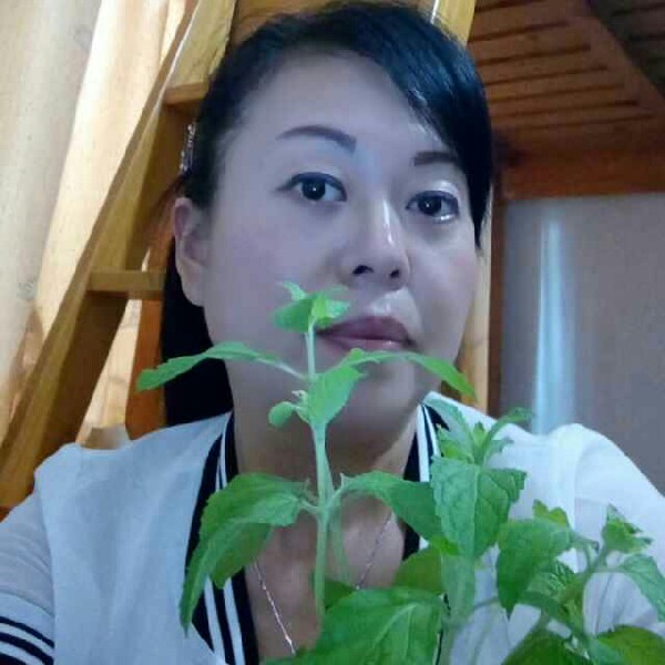 369qas的照片