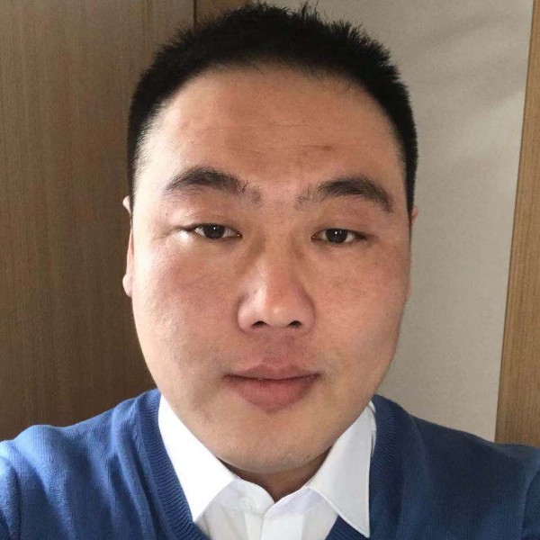狗回首冷静的照片