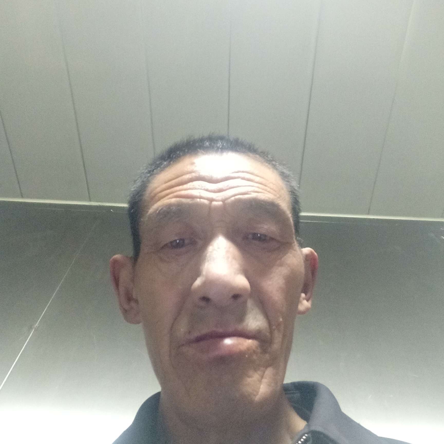 绿悠悠的大草原的照片