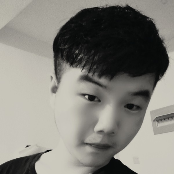 高高给斑马的照片