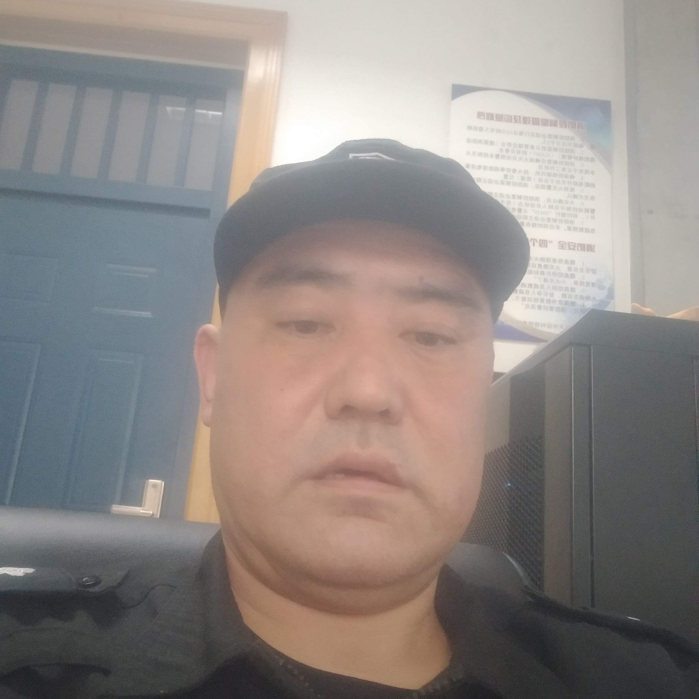 称心说白猫的照片