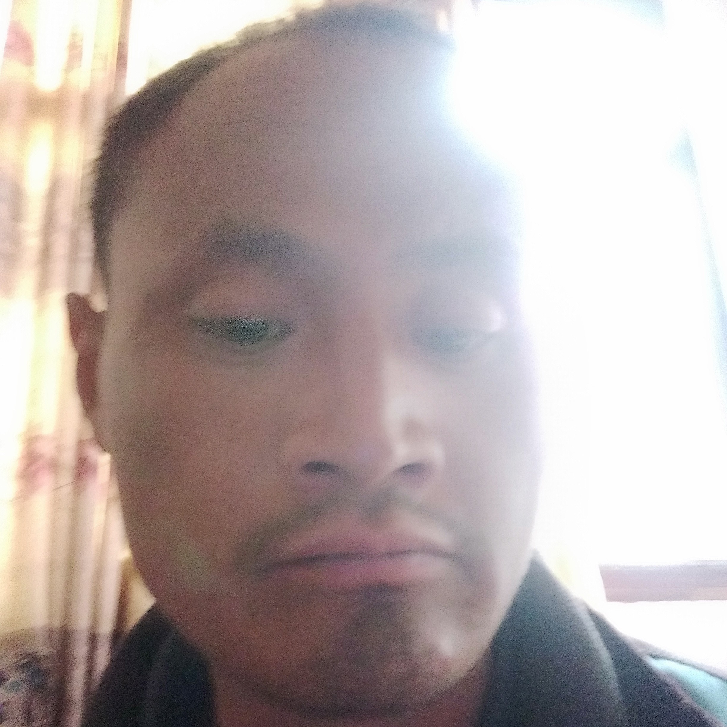阳光下的花。的照片
