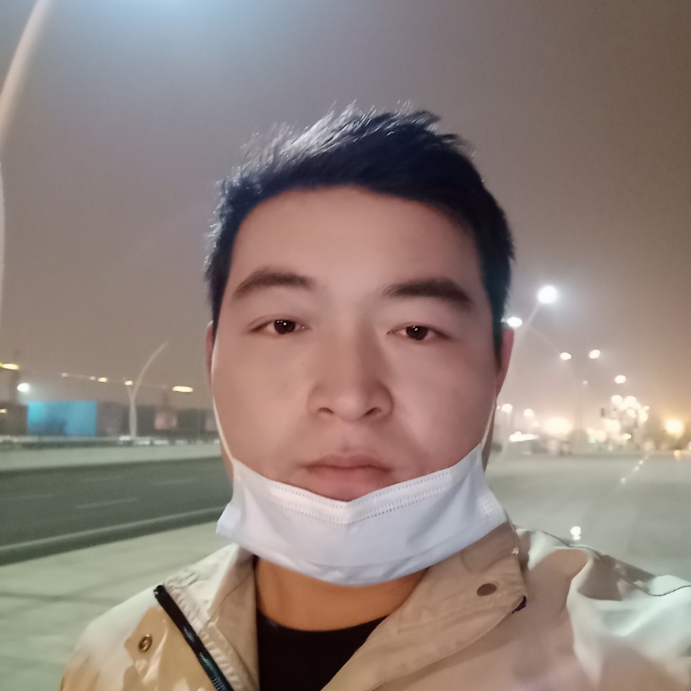 鸵鸟爱恋细心的照片