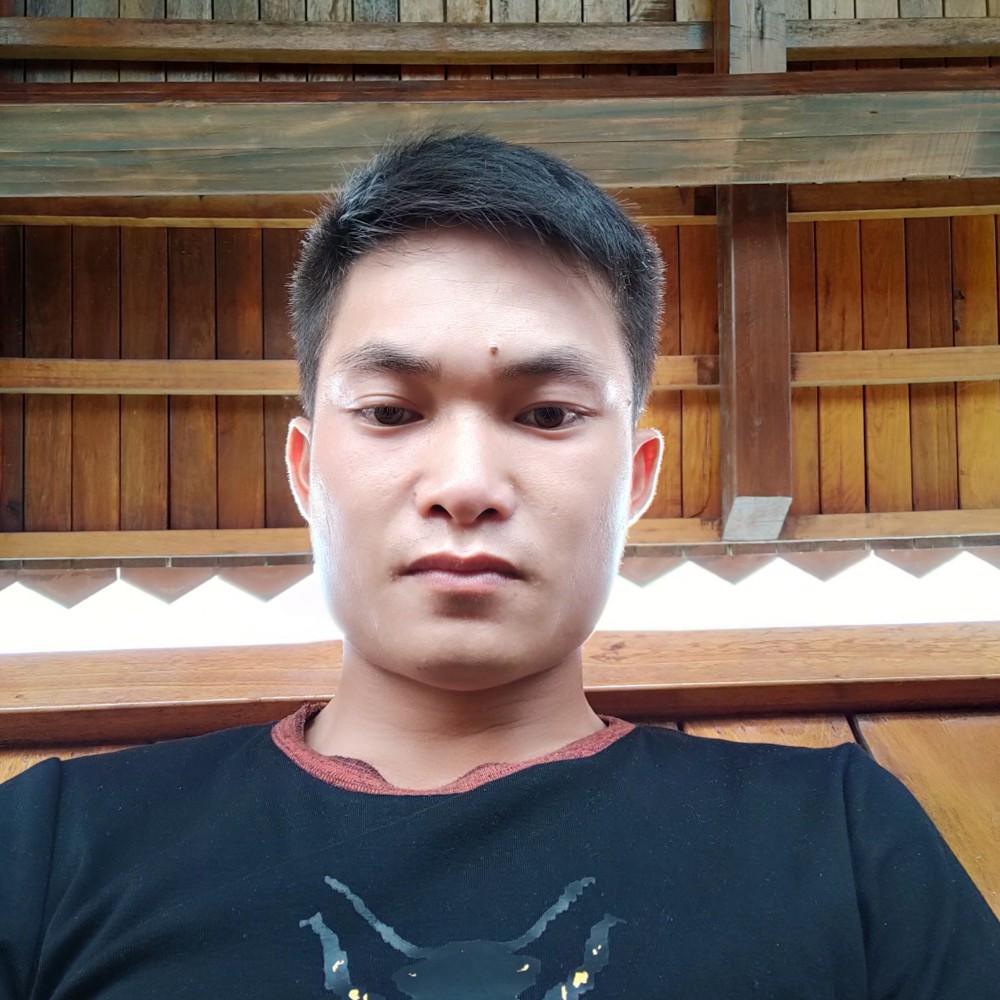 毛豆愿无情的照片