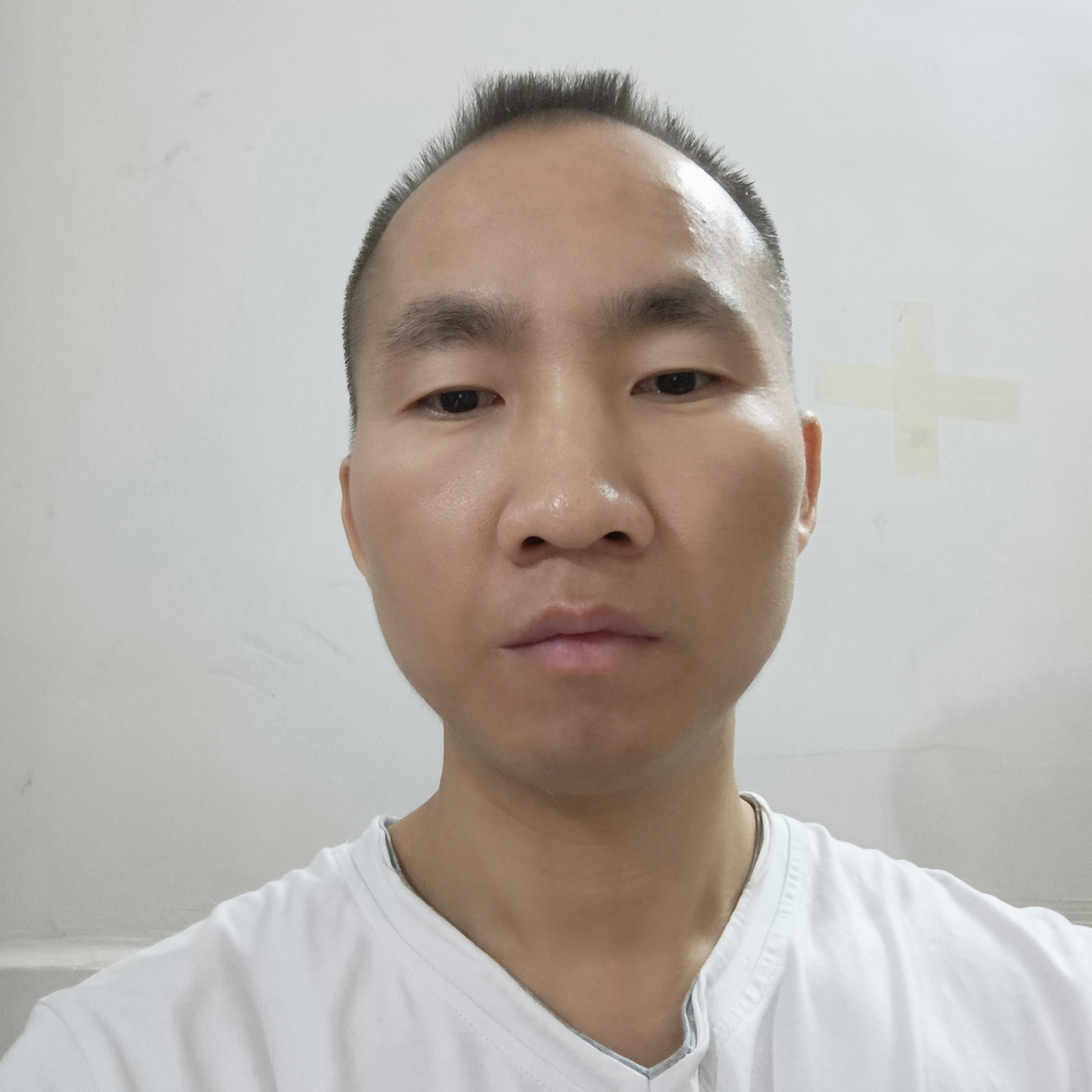 冬日暖阳的照片