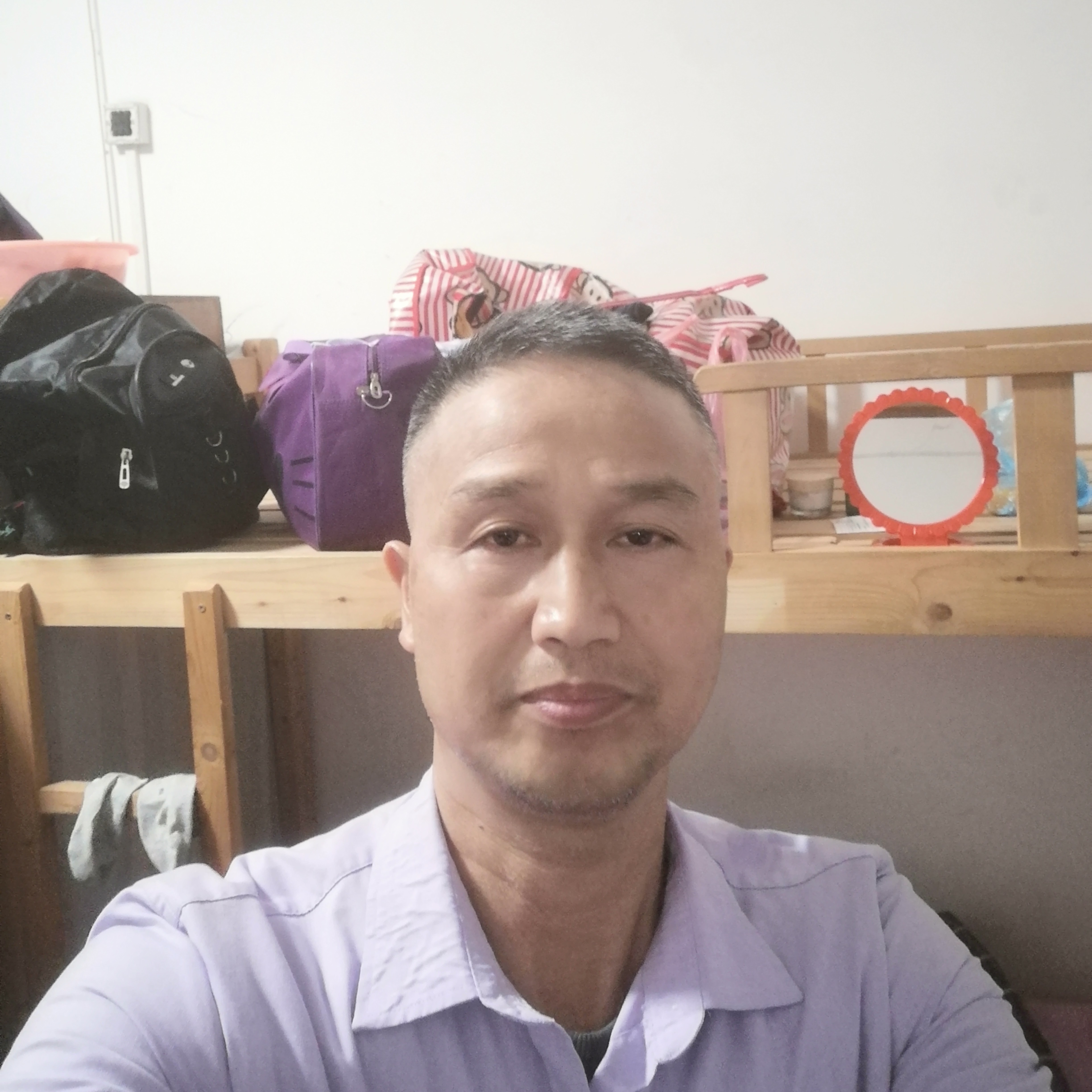 冷静打鸵鸟的照片