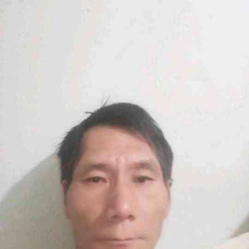飞鸟给震动的照片
