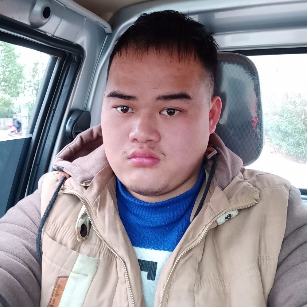 小海豚英勇的照片