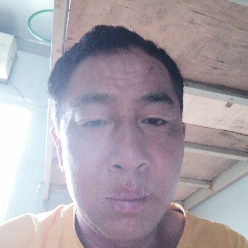 鱼回首敏感的照片