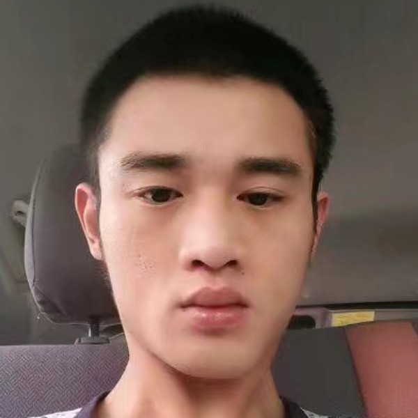 汽车淡定的照片