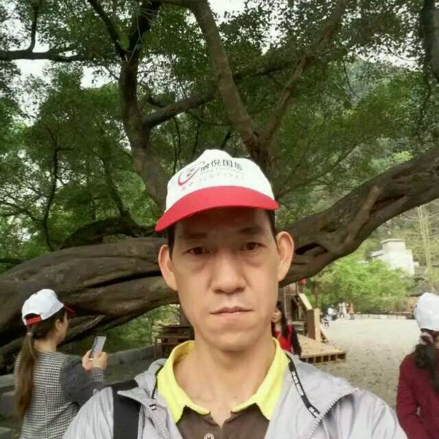 孤心的隐形的照片