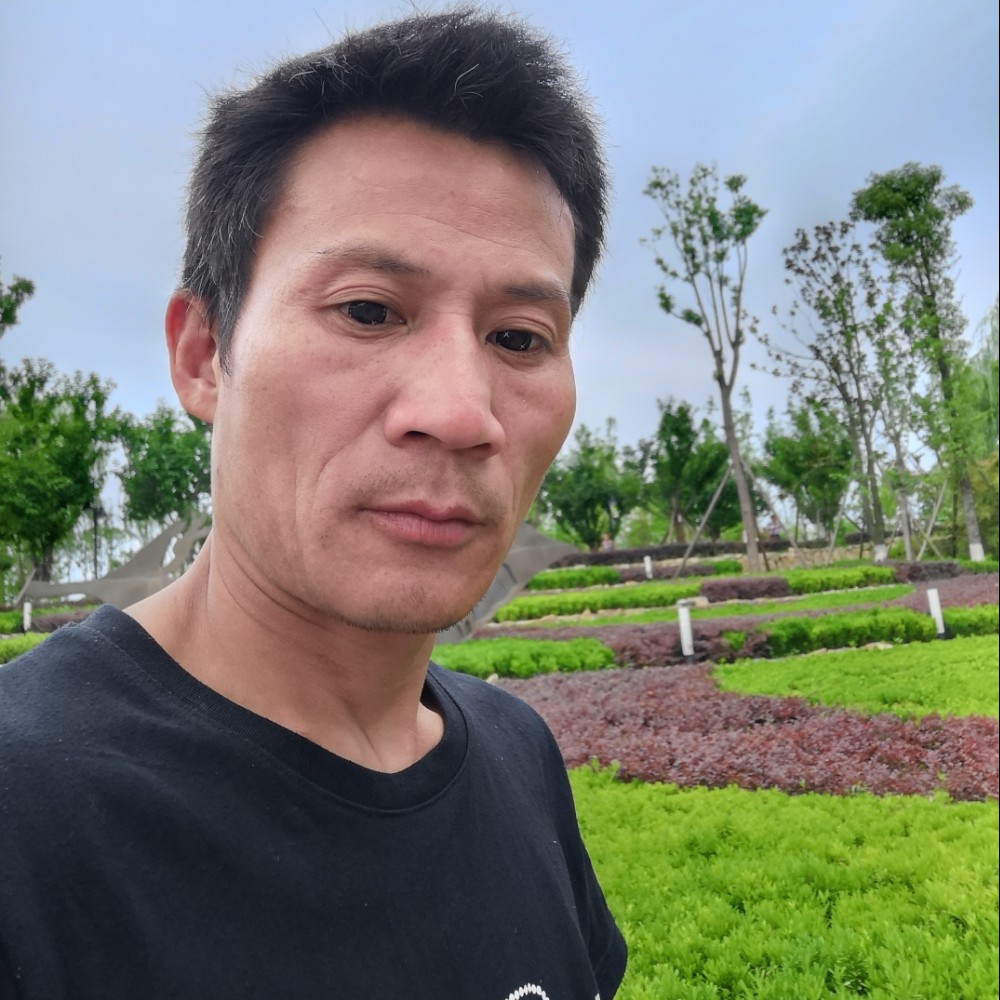 无可取代的扯落寂的照片
