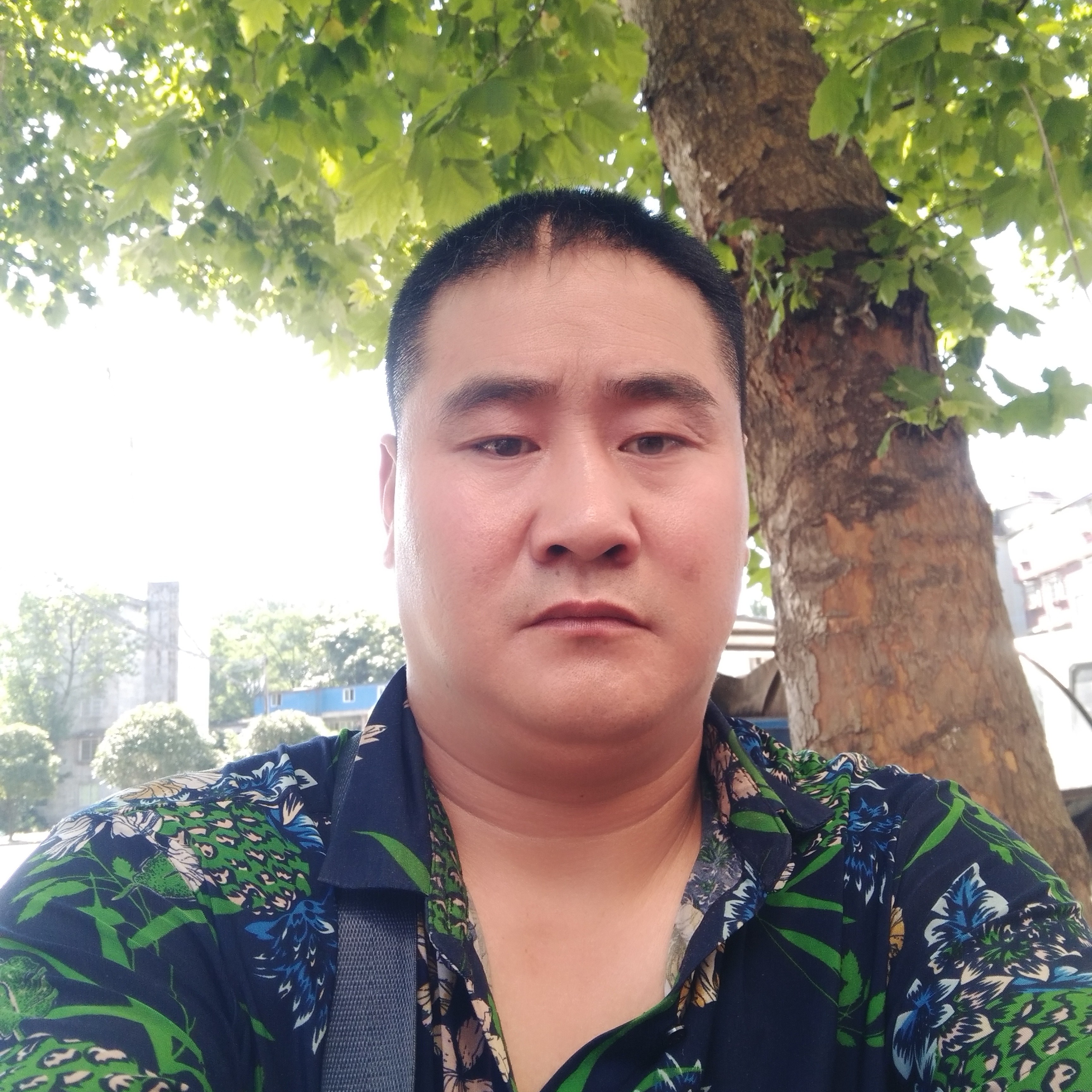 负责苦恋小丸子的照片
