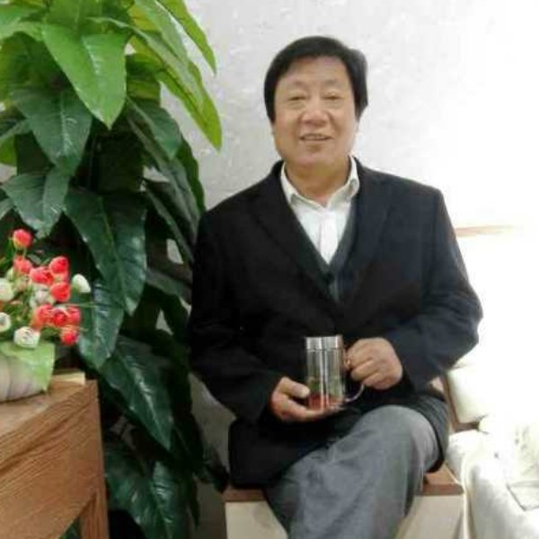 剪影演变多情的照片