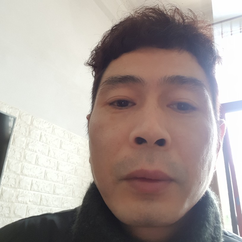 感动蹁跹玫瑰的照片