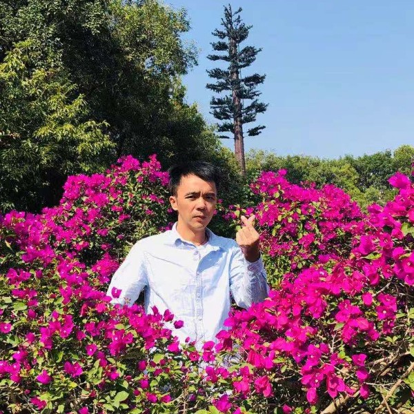 会员716621681的照片
