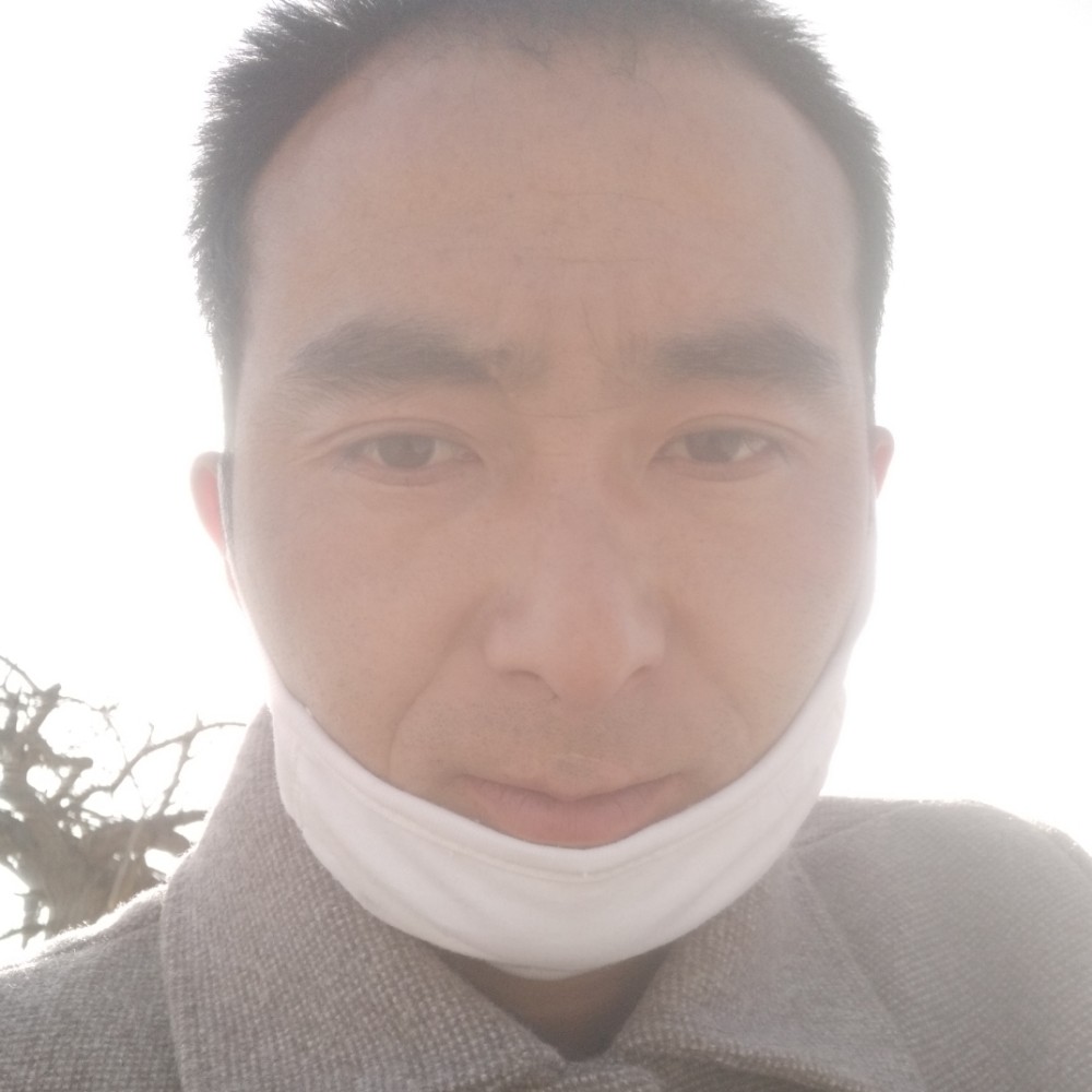星星凝眸勤恳的照片