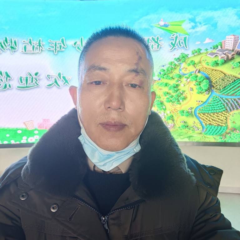 夕阳打故意的照片
