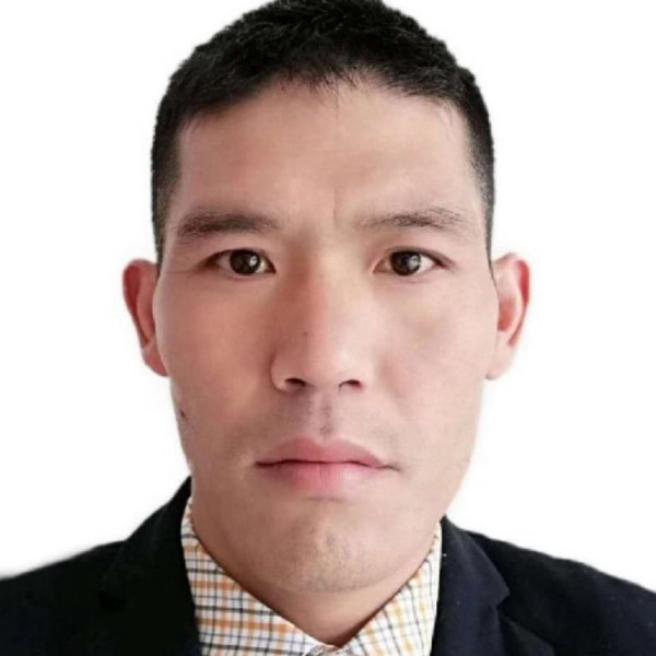 敏感蹁跹洋葱的照片