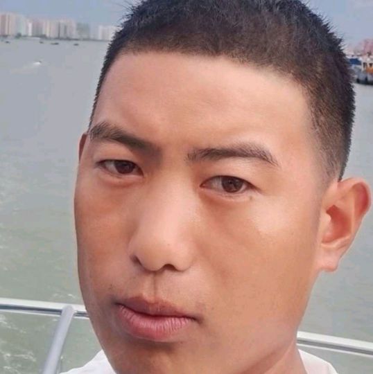 机智蹁跹流影的照片