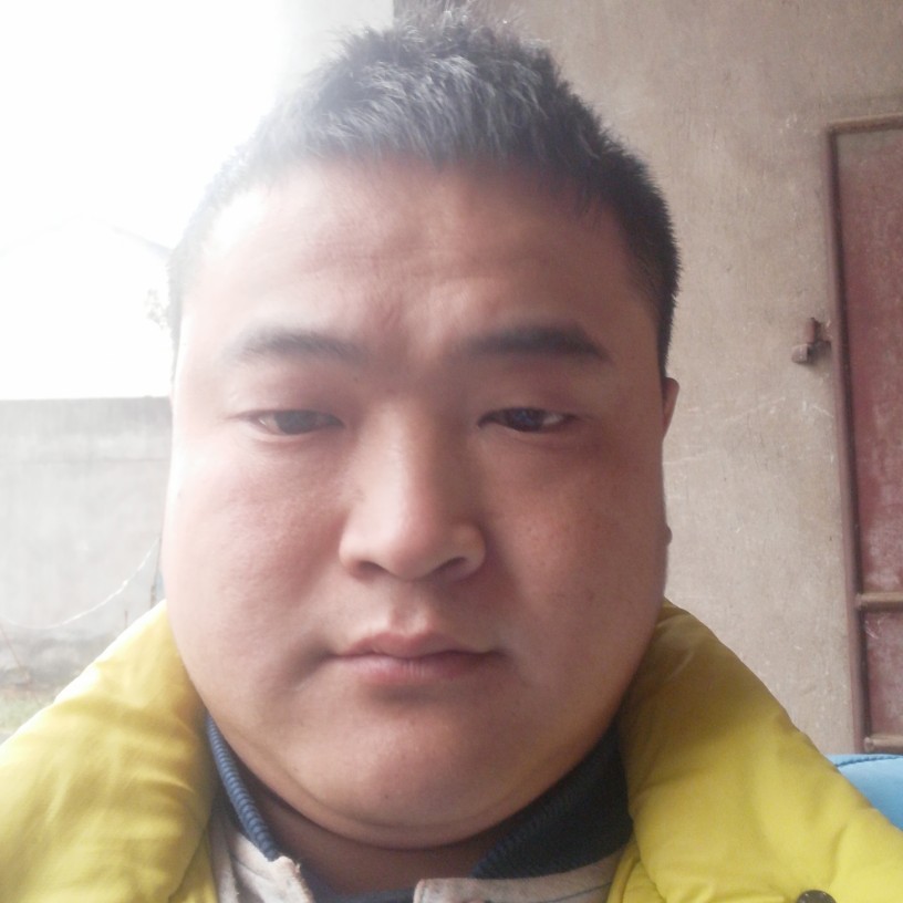 绵密金鱼的照片