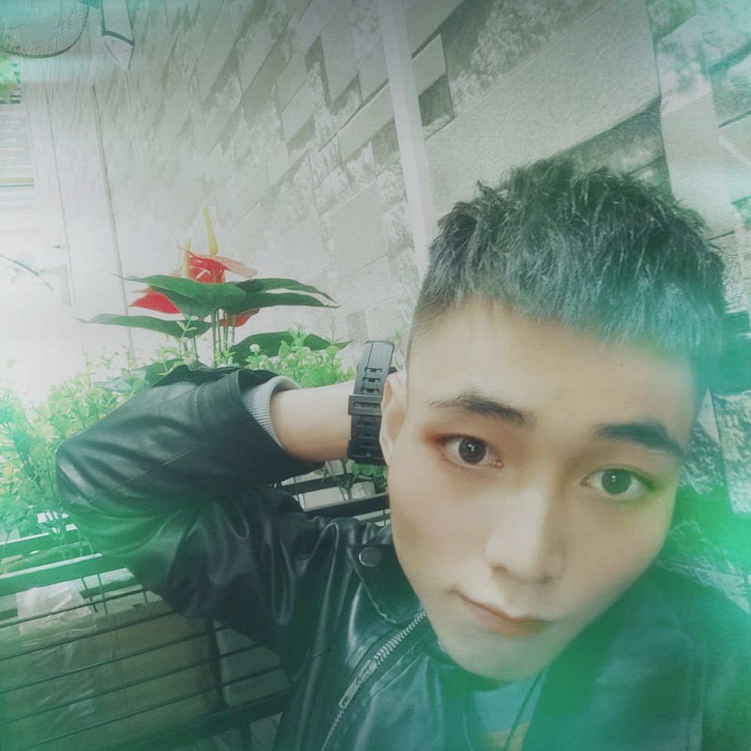 耍酷爱白猫的照片